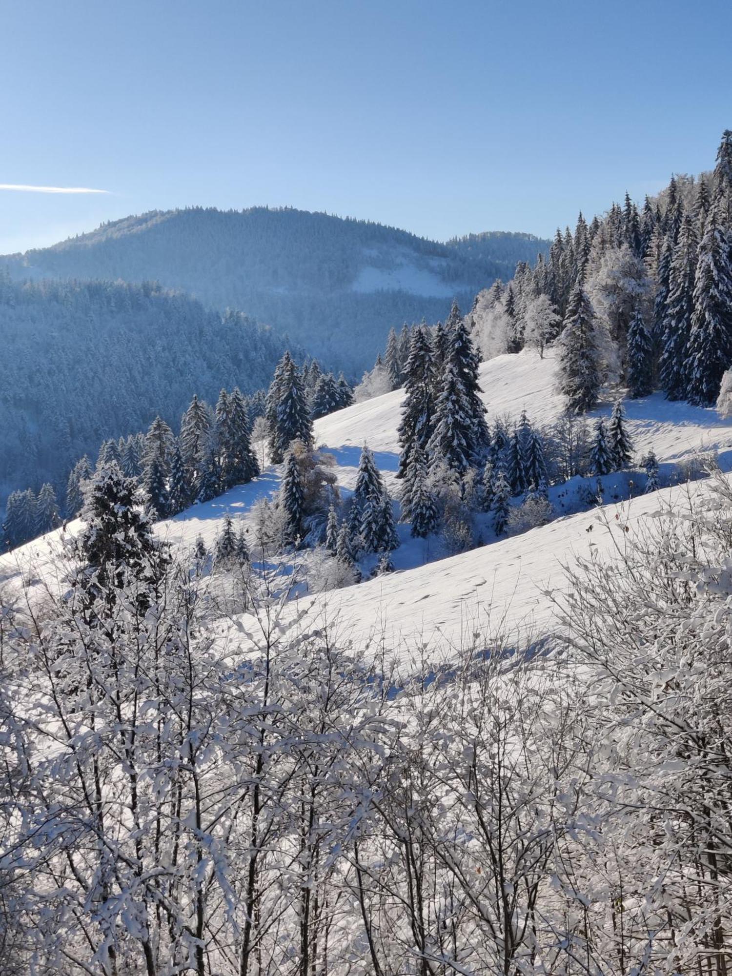 Berggasthaus Präger Böden Todtnau Exteriör bild
